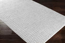 Blyth Modern Medium Gray Area Rug
