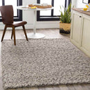 Braintree Modern Black Area Rug