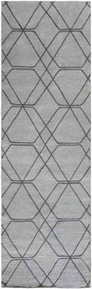 Samson Modern Medium Gray/Pale Blue Area Rug