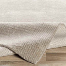 Brigg Modern Light Gray Area Rug