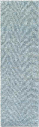 Brigg Modern Sky Blue Area Rug