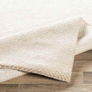 Brigg Modern Beige Area Rug