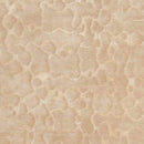 Sipsey Modern Safari Tan Area Rug