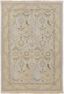 Sylvan Traditional Pale Blue Area Rug