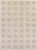 Yampa Modern Beige Area Rug