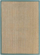 Crediton Cottage Teal Area Rug