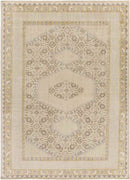 Scafati Traditional Beige Area Rug
