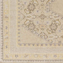 Scafati Traditional Beige Area Rug