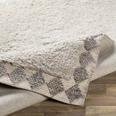 Horwich Modern Taupe Area Rug