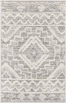 Sudbury Global Medium Gray Area Rug