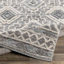 Sudbury Global Medium Gray Area Rug