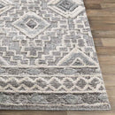Sudbury Global Medium Gray Area Rug