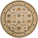 Didsbury Traditional Khaki Area Rug