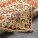 Antony Traditional Clay Area Rug