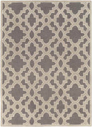 Aveyron Modern Medium Gray Area Rug