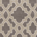 Aveyron Modern Medium Gray Area Rug
