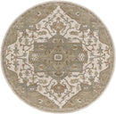 Roblin Traditional Khaki Area Rug