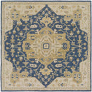 Roblin Traditional Navy Area Rug