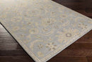 Caraquet Traditional Light Gray Area Rug