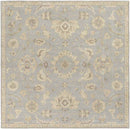 Caraquet Traditional Light Gray Area Rug