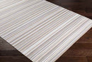 Triton Modern Medium Gray Area Rug
