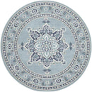 Lyla Traditional Aqua Area Rug