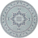 Lyla Traditional Aqua Area Rug