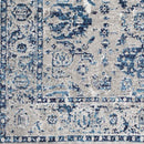 Kedrick Traditional Light Gray Area Rug