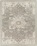Roblin Traditional Taupe Area Rug