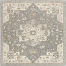Roblin Traditional Taupe Area Rug