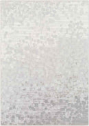 IJlst Modern Light Gray Area Rug