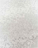 IJlst Modern Light Gray Area Rug