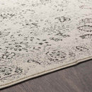 Oldeboorn Traditional Charcoal Area Rug