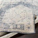 Paesens Traditional Taupe Area Rug
