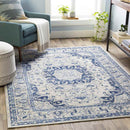 Suameer Traditional Navy Area Rug
