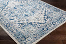 Cannock Traditional Aqua Area Rug