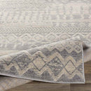 Vijfhuis Global Light Gray Area Rug