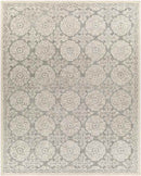 Wilaard Traditional Medium Gray Area Rug