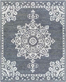 Witveen Traditional Charcoal Area Rug