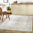 Workum Traditional Light Gray Area Rug