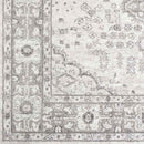 Workum Traditional Light Gray Area Rug