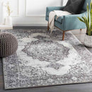 Ansen Traditional Charcoal Area Rug
