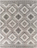 Dalerpeel Traditional Charcoal Area Rug