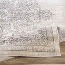 Dalerveen Traditional Light Gray Area Rug