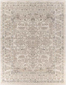 Darp Traditional Charcoal Area Rug