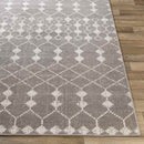 Donderen Global Light Gray Area Rug