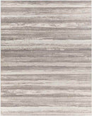 Ermerveen Modern Medium Gray Area Rug