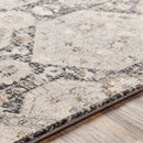 Geelbroek Traditional Black Area Rug