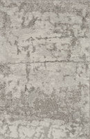 Haakswold Modern Medium Gray Area Rug