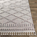 Koelveen Global Medium Gray Area Rug